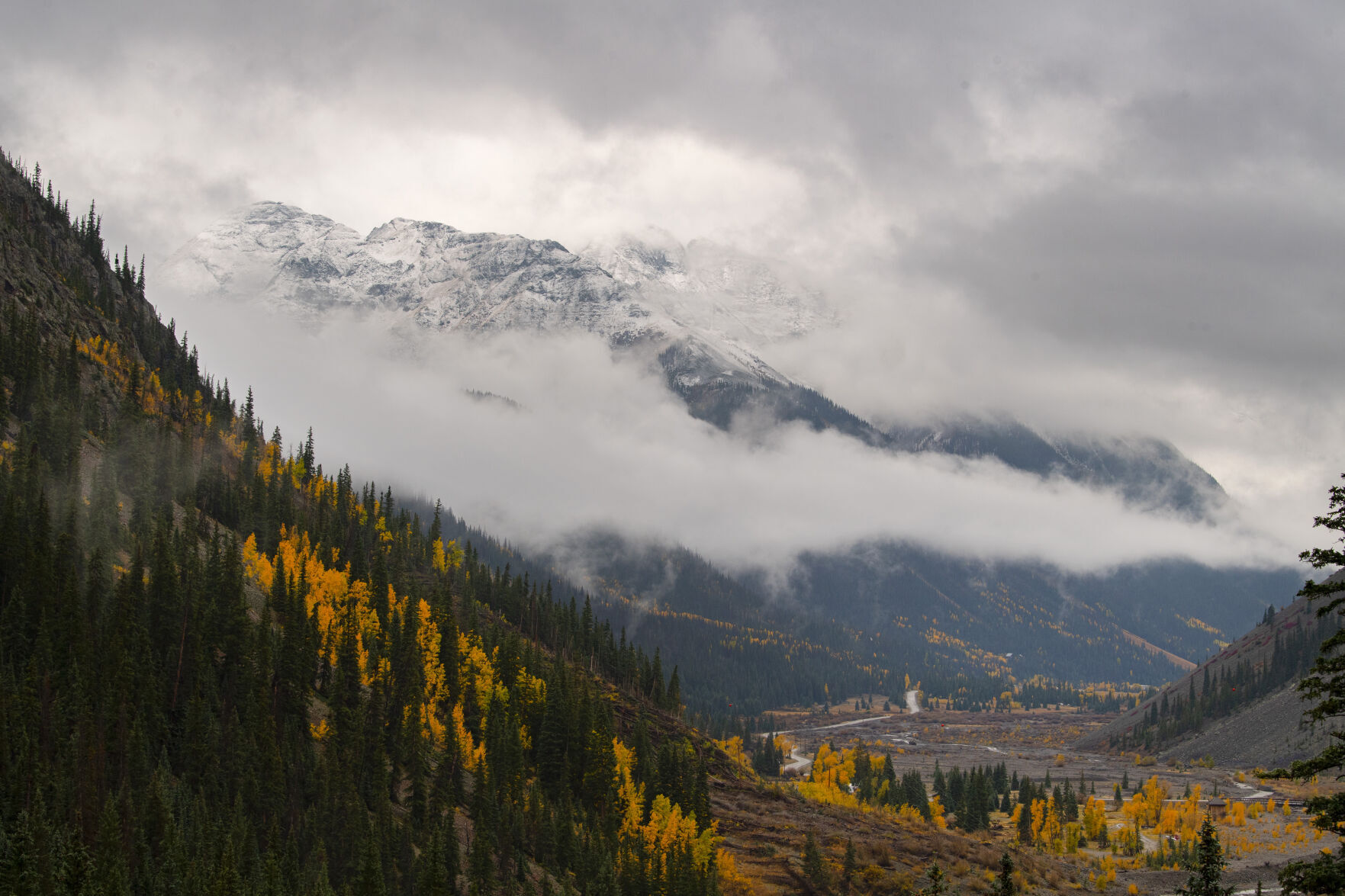 09_29_21 aspens 01466.jpg